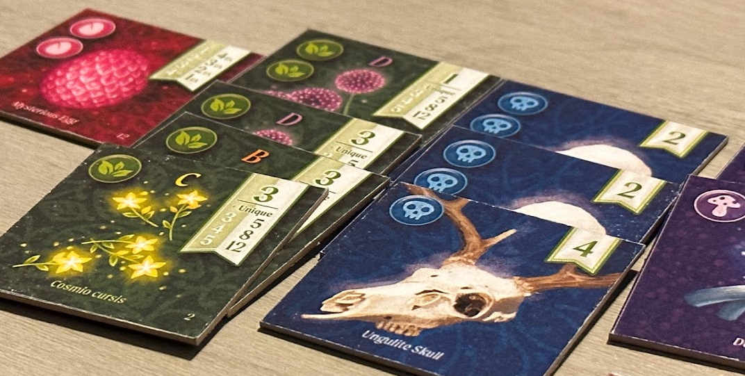 Close up for herb, egg, skull, and mushroom tiles