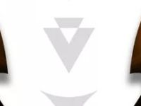 Colorblind Games Review | Wolves