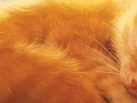 Colorblind Games Preview | Knitting Circle