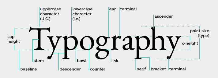 TYPOGRAPHY font with various elements identified around the word (e.g., cap height, stem, serif, ascender).